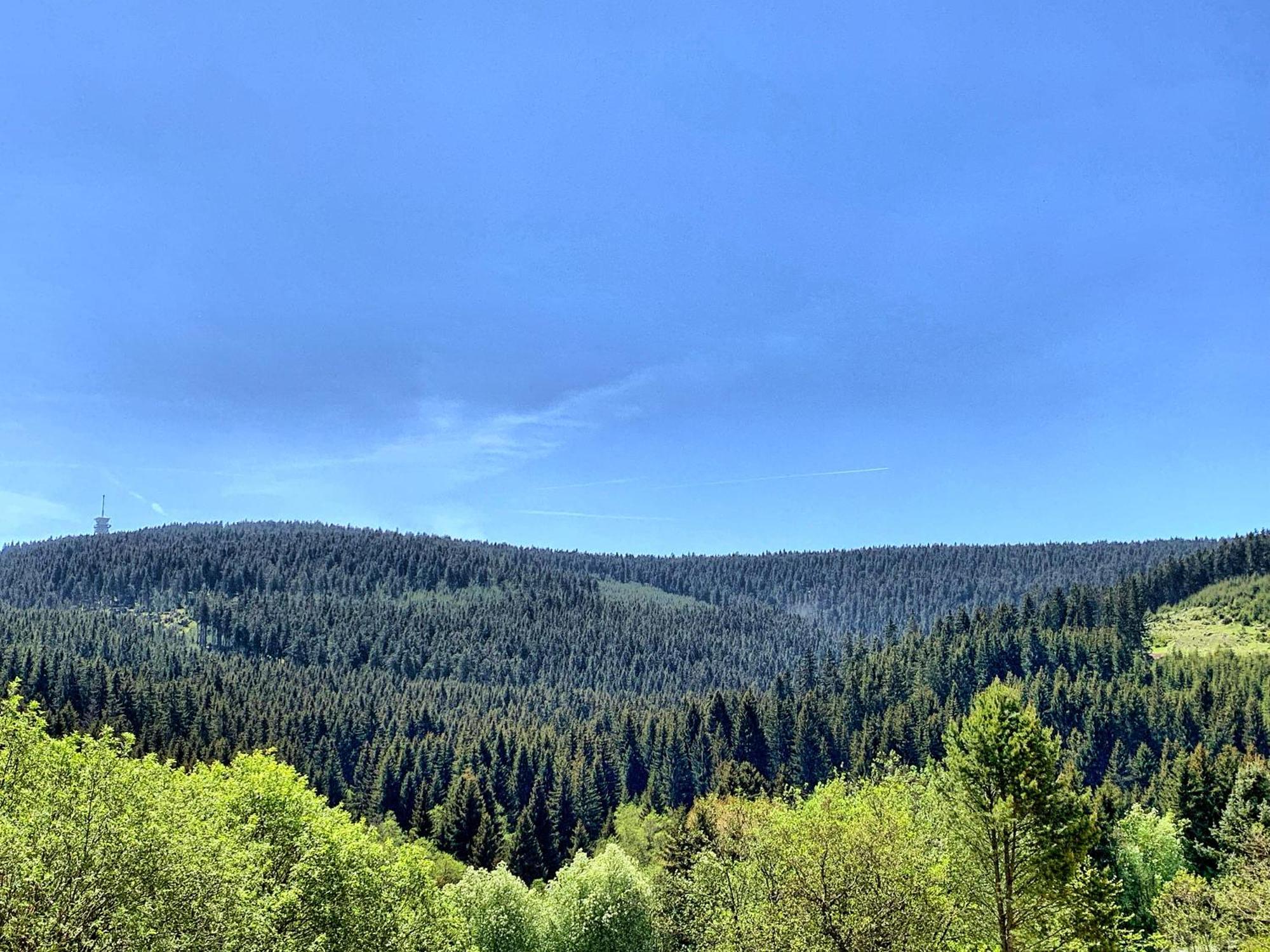 Erzgebirge Suite Bergruhe Курорт Обервизенталь Экстерьер фото